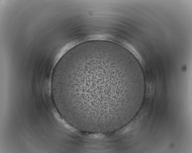 X0000092100994200709191303