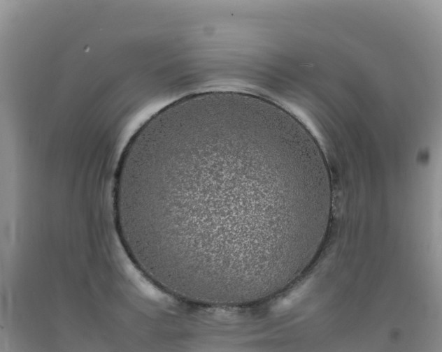 X0000092100995200709191303