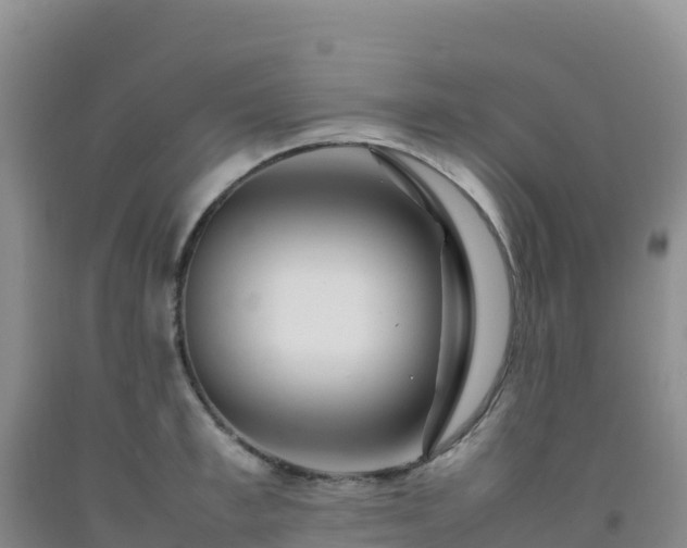 X0000092100997200709191303