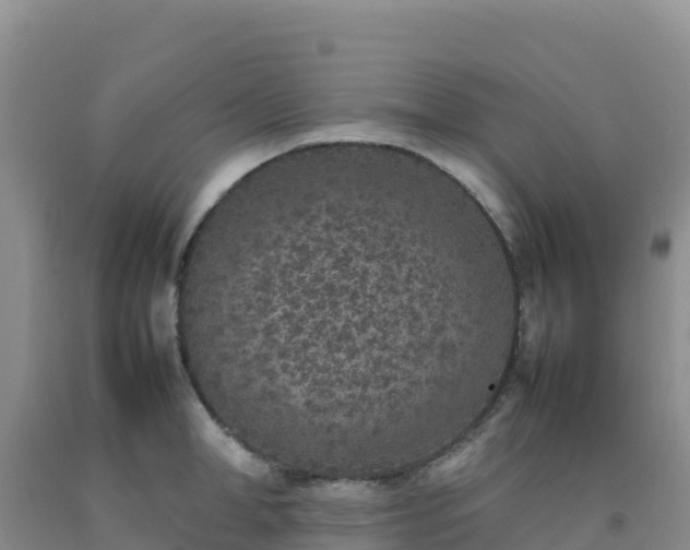 X0000092100998200709191303