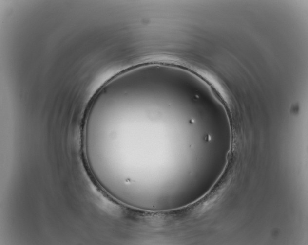 X0000092100999200709191303