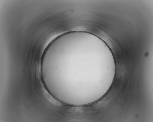 X0000092101000200709191303