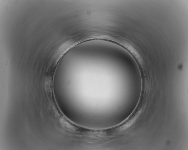 X0000092101001200709191303