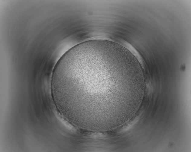 X0000092101002200709191303