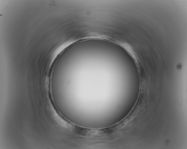 X0000092101003200709191303