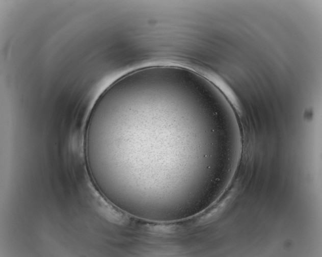 X0000092101004200709191303