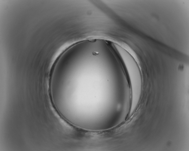 X0000092101005200709191303