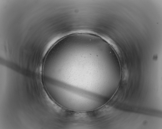 X0000092101006200709191303