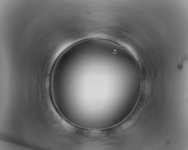 X0000092101007200709191303