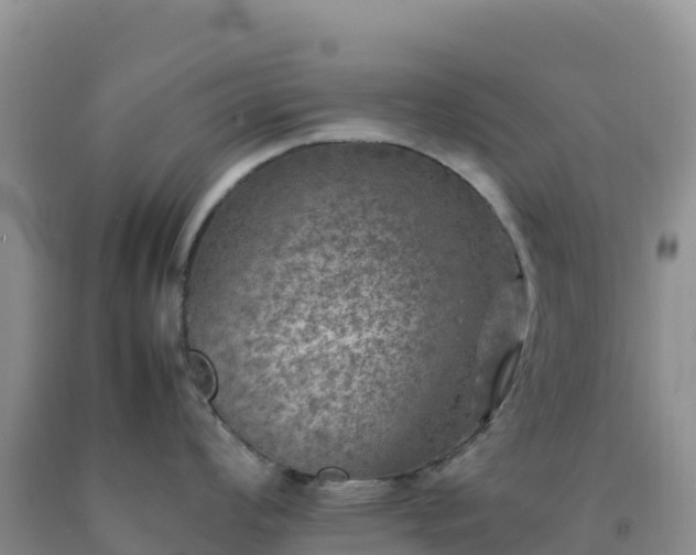 X0000092101008200709191303