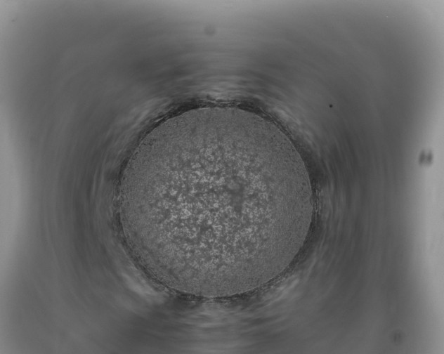 X0000092101009200709191302