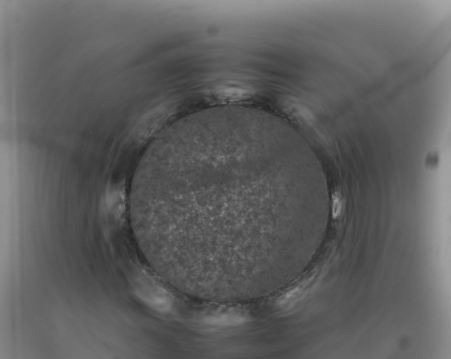 X0000092101011200709191302