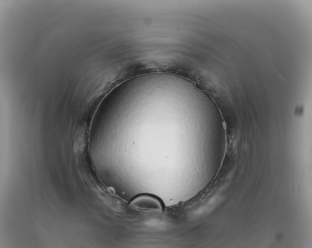 X0000092101012200709191302