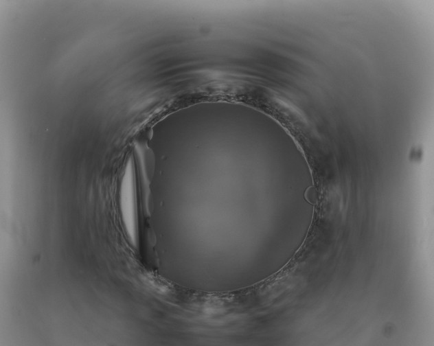 X0000092101013200709191302