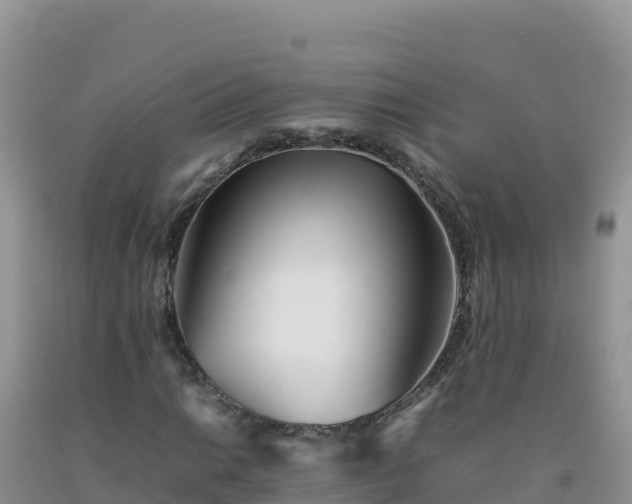 X0000092101014200709191302