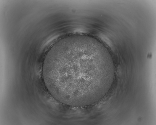 X0000092101015200709191302