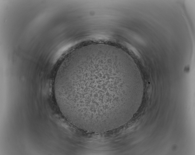 X0000092101016200709191302