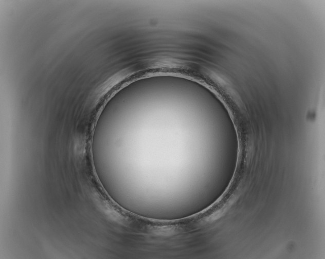 X0000092101017200709191302