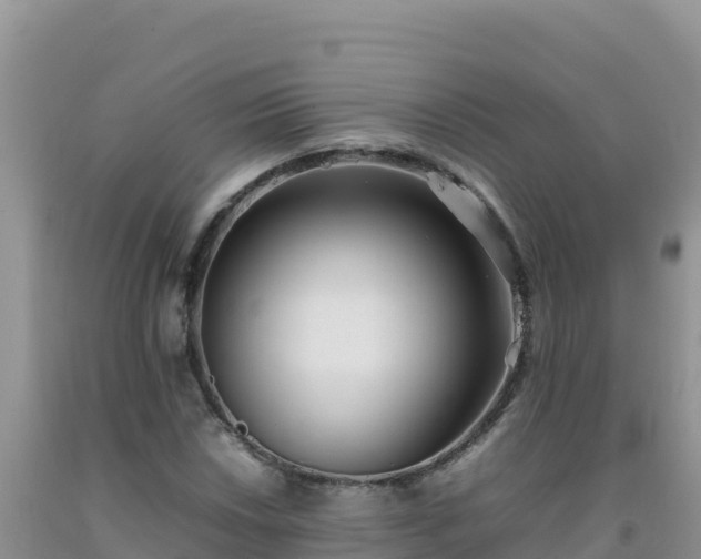 X0000092101018200709191302