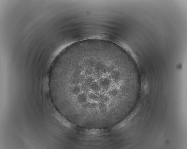 X0000092101019200709191302