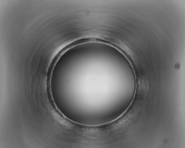 X0000092101020200709191302