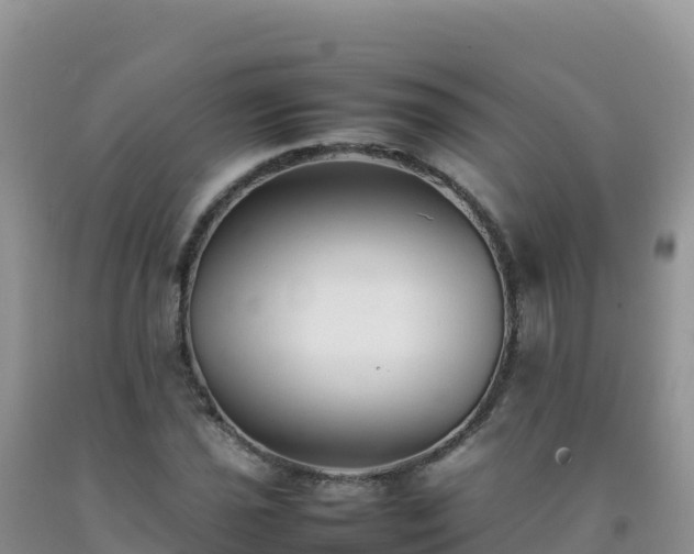 X0000092101021200709191302