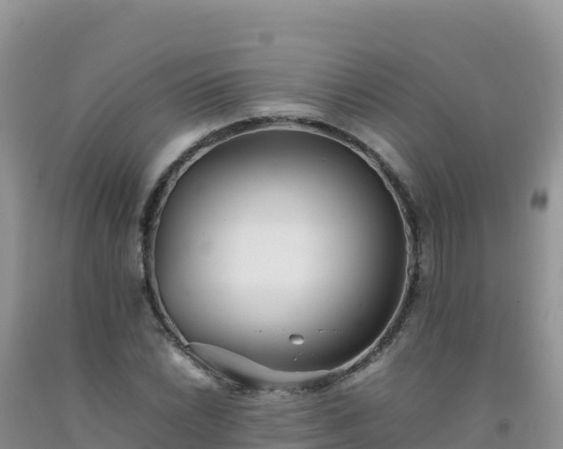 X0000092101022200709191302