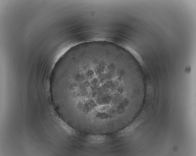 X0000092101023200709191302