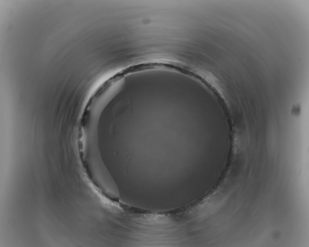 X0000092101024200709191302