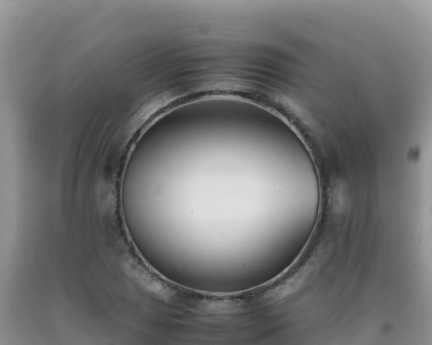 X0000092101025200709191302