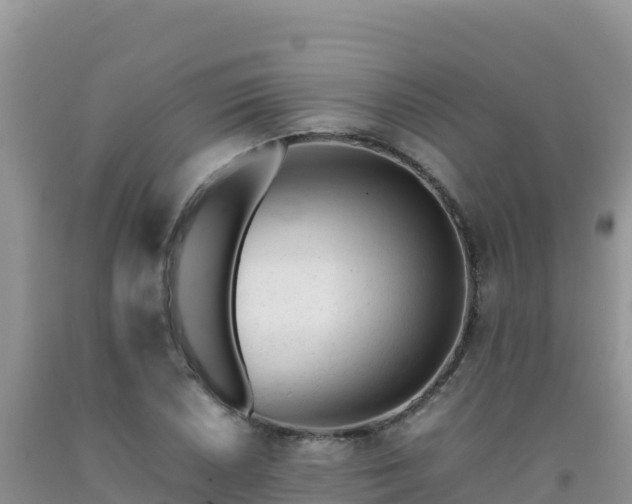 X0000092101026200709191302