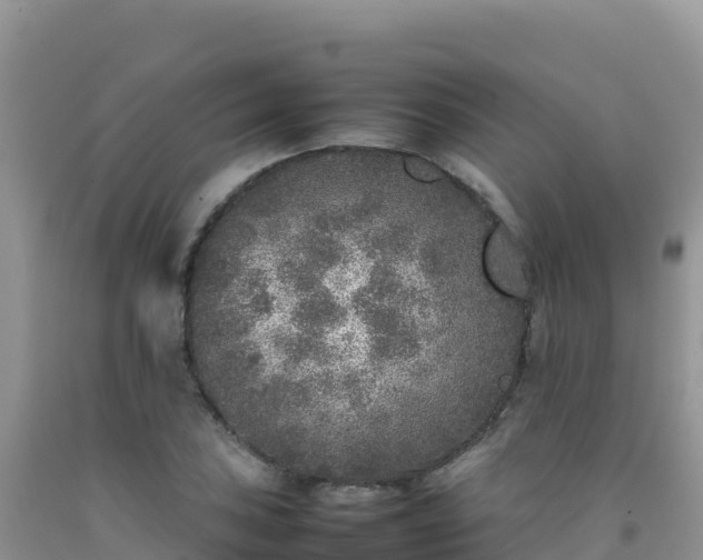 X0000092101027200709191302