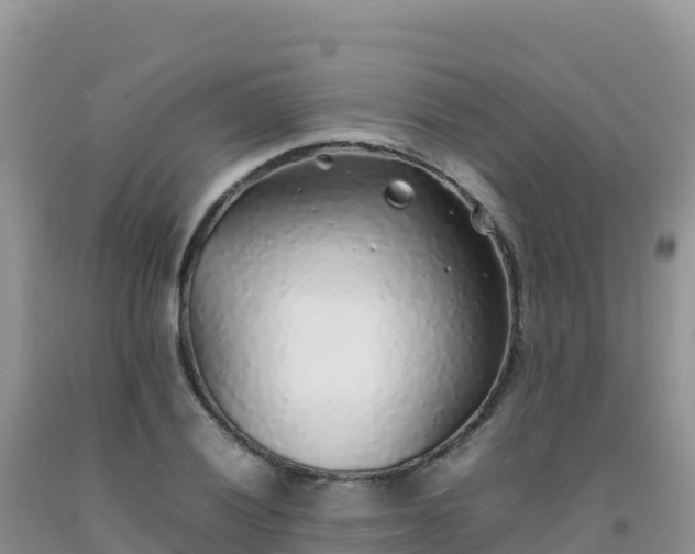 X0000092101028200709191302