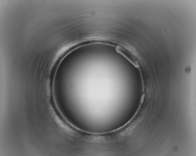 X0000092101030200709191302