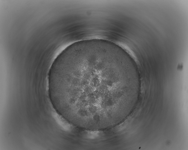 X0000092101031200709191302