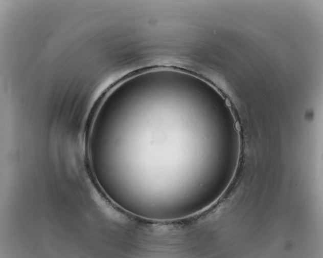 X0000092101032200709191302