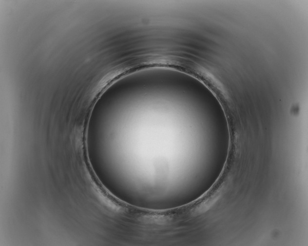 X0000092101033200709191302