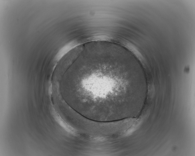 X0000092101034200709191302