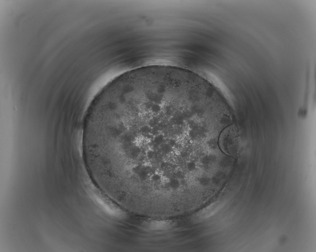 X0000092101035200709191302