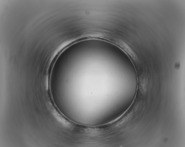 X0000092101036200709191302