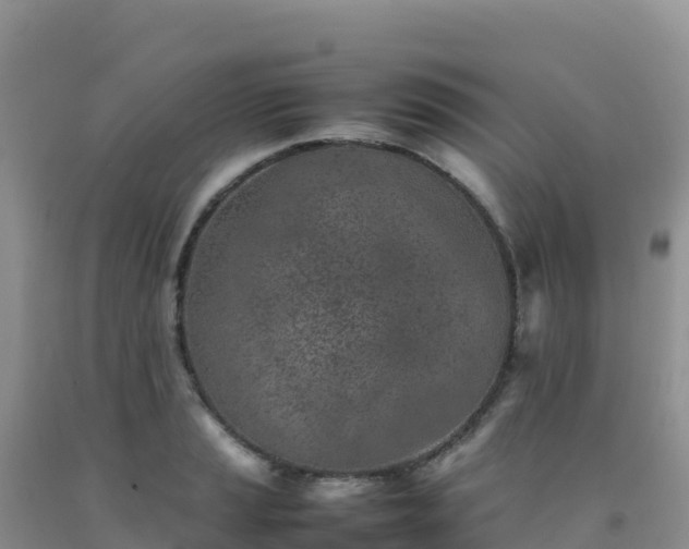 X0000092101037200709191302