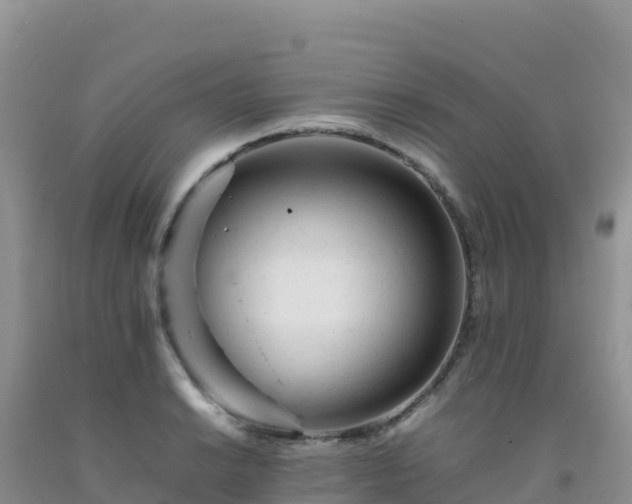 X0000092101038200709191302