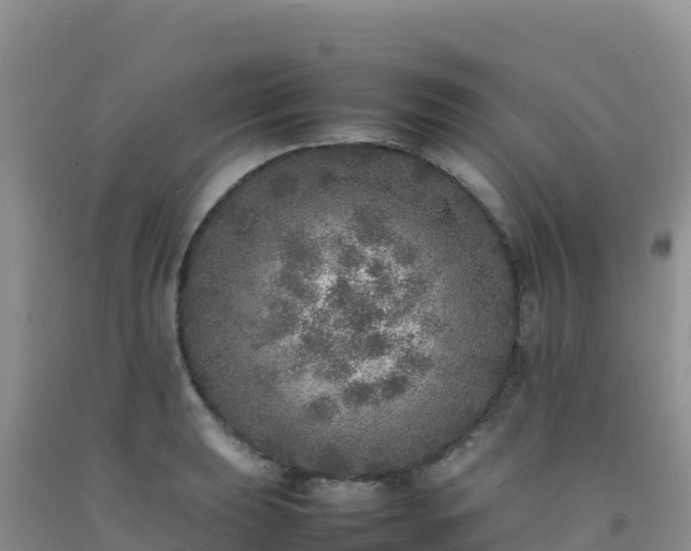 X0000092101039200709191302