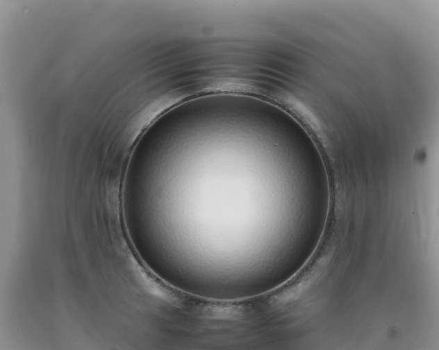 X0000092101041200709191302