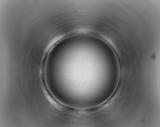 X0000092101042200709191302