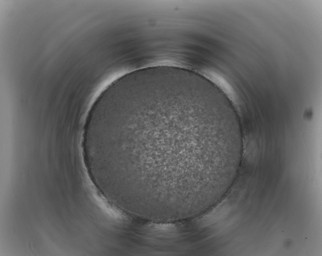 X0000092101043200709191302