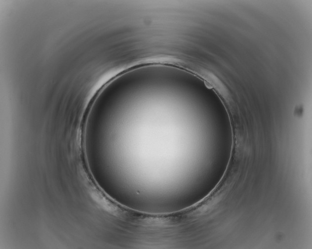 X0000092101044200709191302