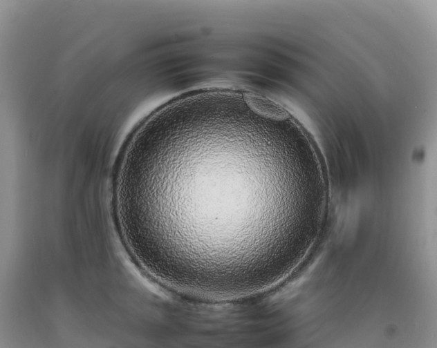 X0000092101045200709191302