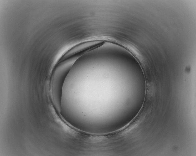 X0000092101046200709191302