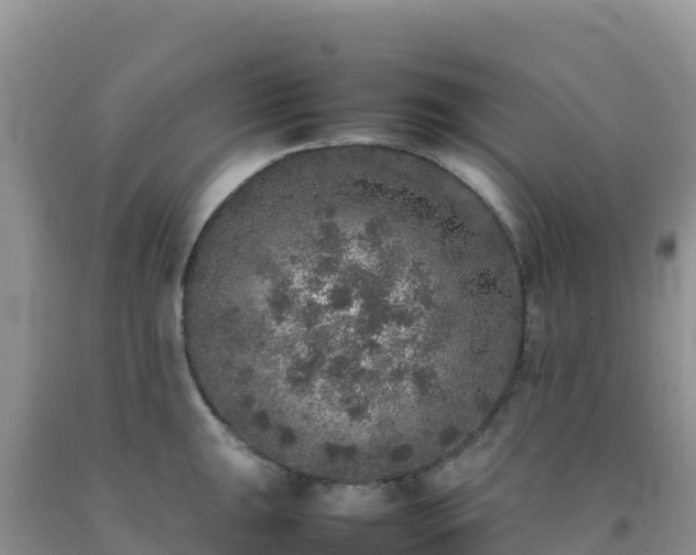 X0000092101047200709191302